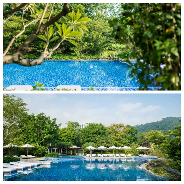 Qingyuan | Stay in a "forest castle"