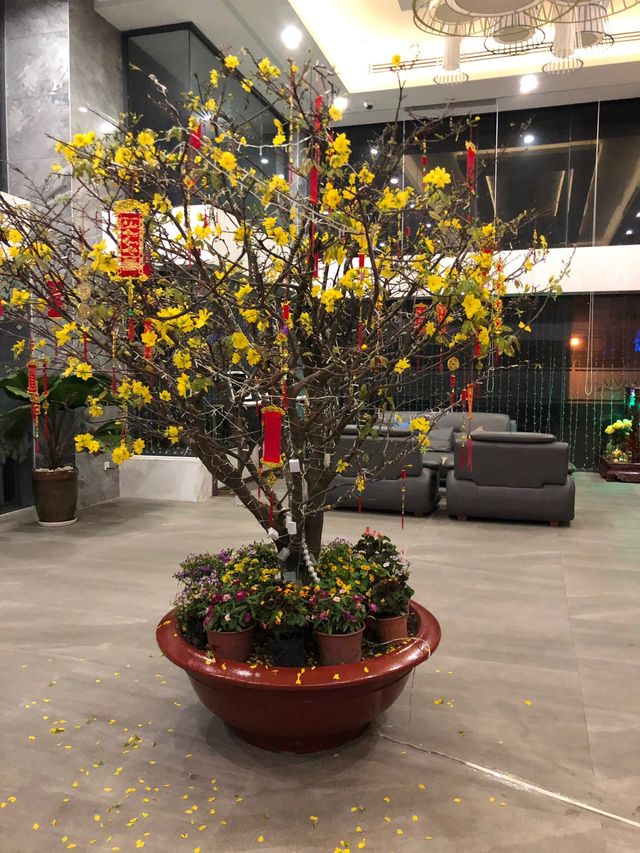 芽莊夏娃酒店｜舒適海景享受