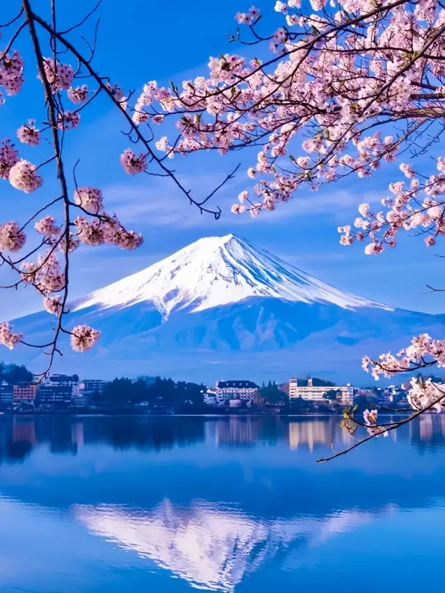 A 6-Day In-Depth Tour of Japan: Don't Miss the Hot Springs Experience
