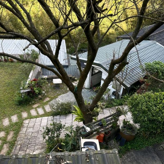 台北 | 士林區的夢幻咖啡廳 🌸