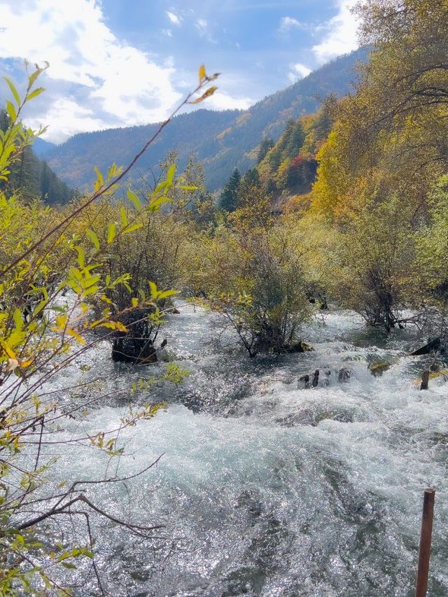 小長假暢遊九寨溝—黃龍風景名勝區全攻略