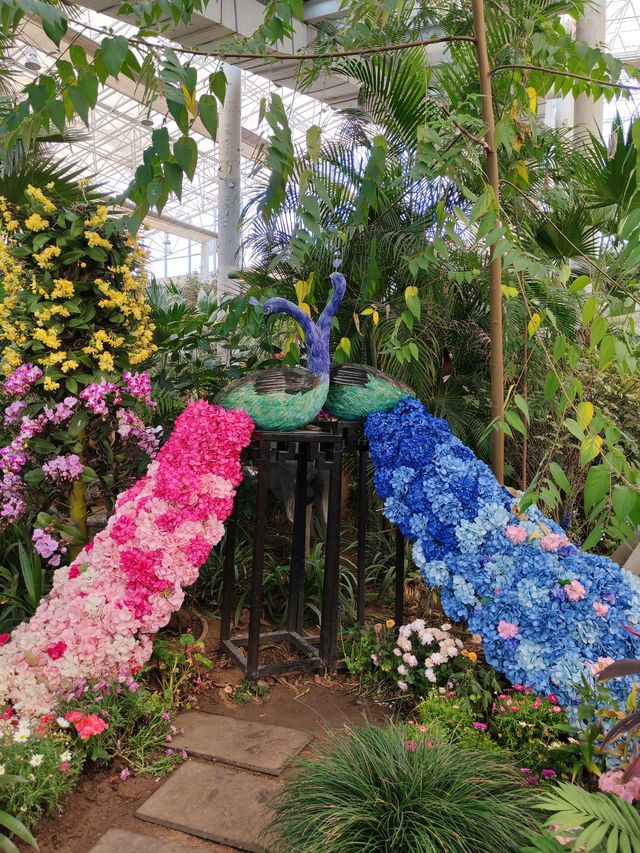 3 月瀋陽必到打卡！溫室玻璃房裡的莫奈花園