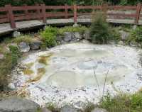 漫步雲仙市天草國立公園｜邂逅一場山海間嘅夢幻之旅