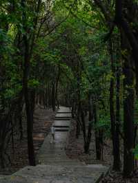 天氣不好就去逛公園輕鬆拿下這座天然氧吧🫧