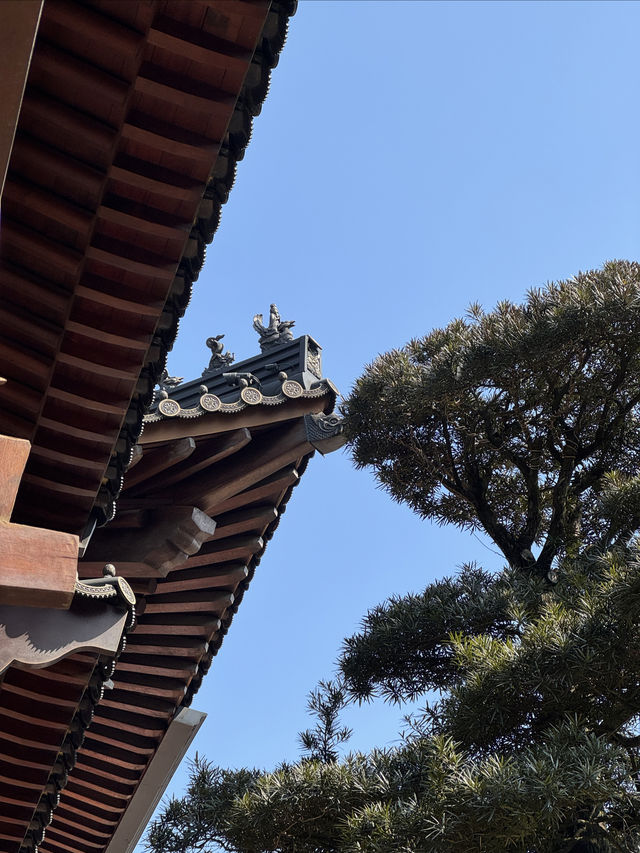 大雪後遊徑山寺