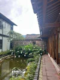 洪雅2日遊全攻略超實用建議收藏