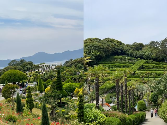 闖入韓劇同款夢幻綠野韓國巨濟植物園探秘