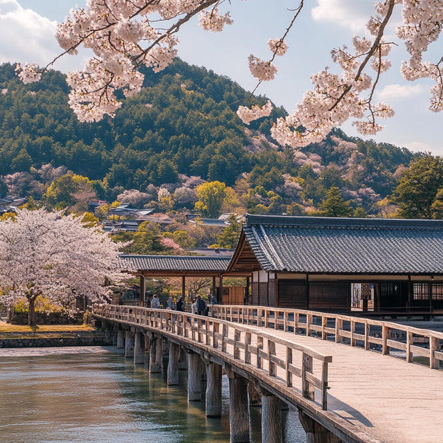 🌸日本·絕美賞櫻地推薦