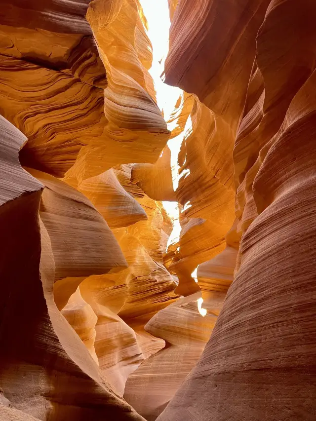 8日間でアメリカ横断!必見スポット大公開