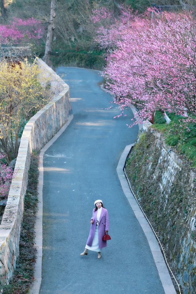 邂逅江南嘅春日浪漫！杭州最美賞梅地推薦