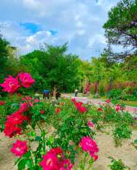 3月，一定要去一趟東湖公園！