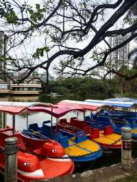 南寧寶藏小眾0元公園｜金花茶公園