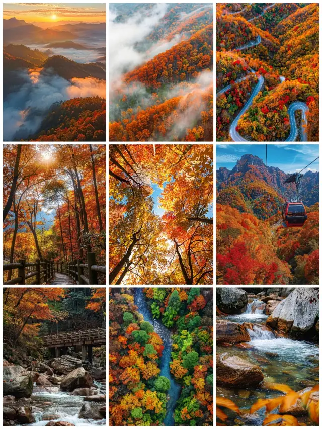 4일간의 바중 여행, 자세한 여행 가이드!