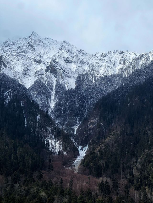 林芝—波密森林之旅 讓你體驗不一樣的自然之美