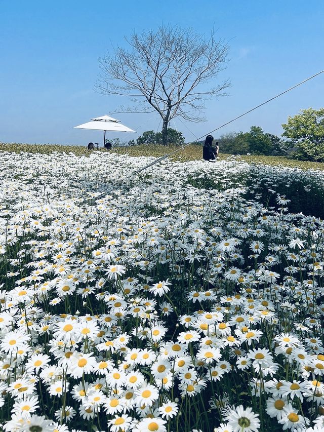 隨時出發的旅程