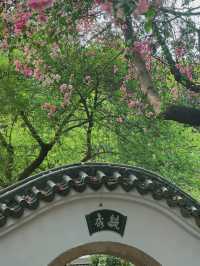 深圳園博園，邂逅絕美花海附拍照攻略
