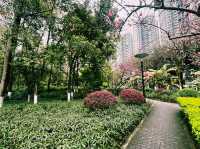 重慶市九龙坡區著名景點：彩雲湖公園，適合拍照打卡、週末閒暇度假地！ 