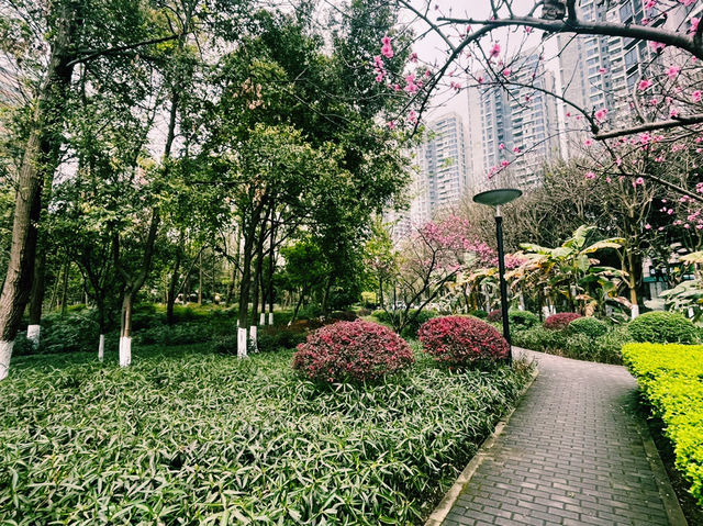 重慶市九龙坡區著名景點：彩雲湖公園，適合拍照打卡、週末閒暇度假地！ 