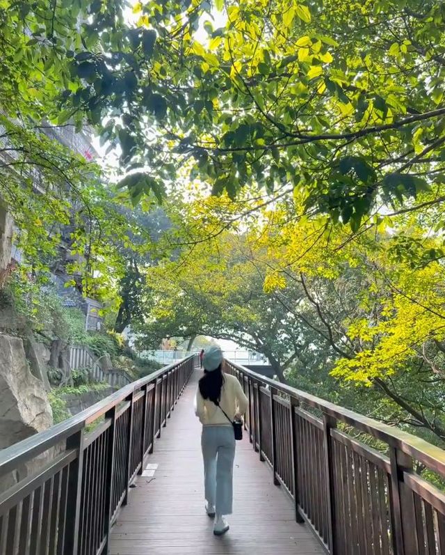 去過重慶8次，強推這兩日遊打卡路線。