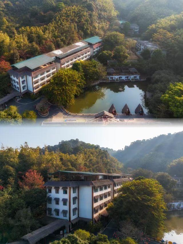 救命！廣州呢間山野民宿真係太治癒喇！
