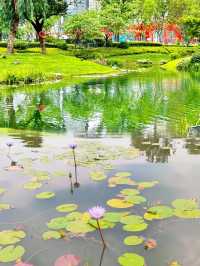 走進現實版莫奈花園就在成都