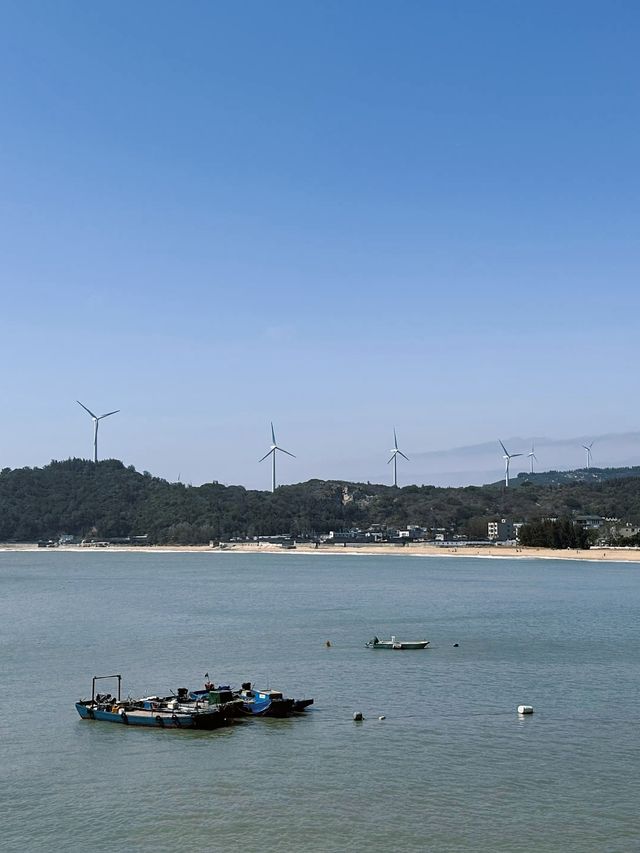 4月東山島注意事項總結，別說來了踩雷