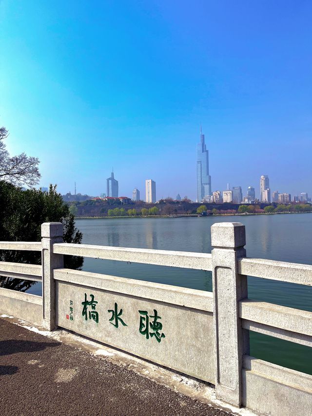 南京櫻花季莫愁湖&玄武湖賞櫻花全攻略
