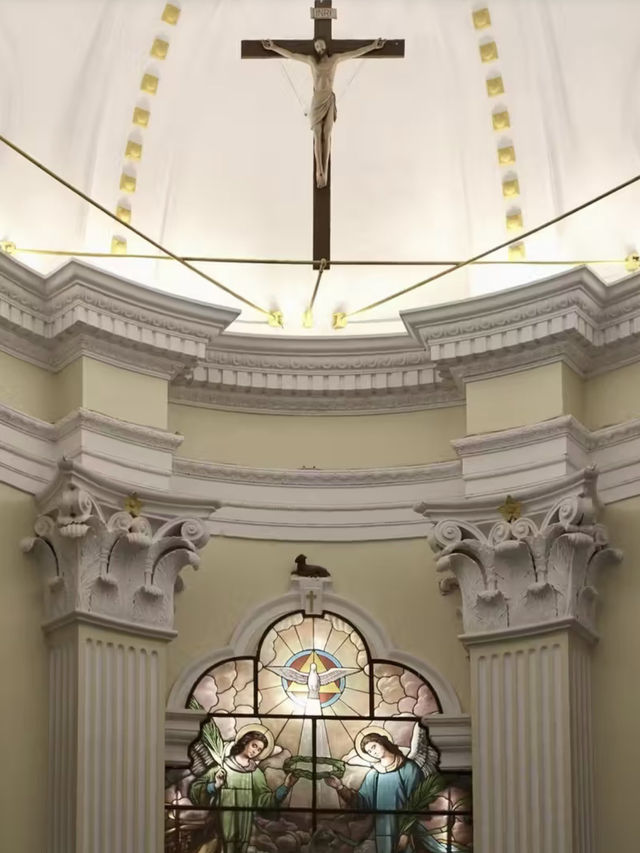 白鴿輕舞：時光映影於巢間