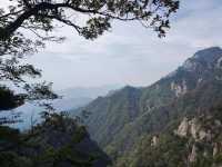 藍田王順山森林公園|秦嶺“小黃山”