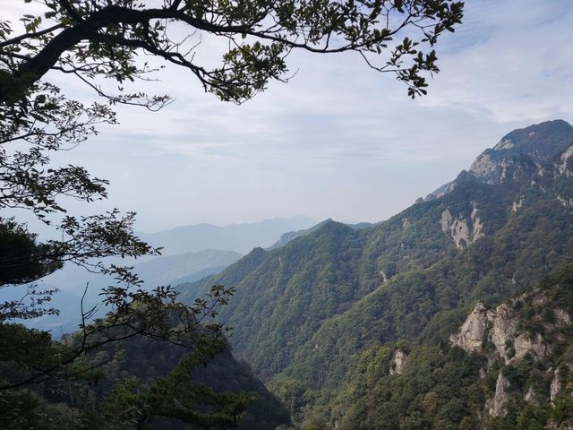藍田王順山森林公園|秦嶺“小黃山”