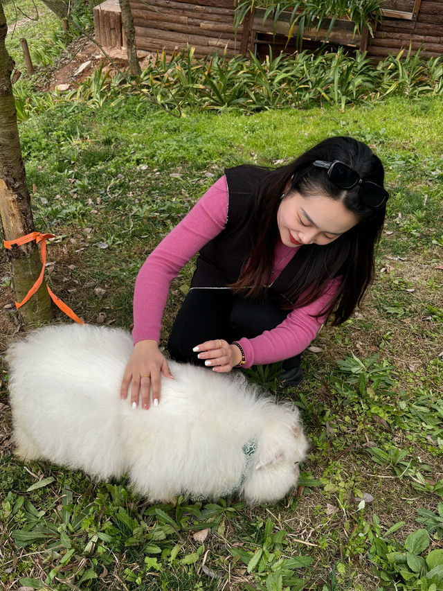 無須出國！成都周邊的絕美仙境