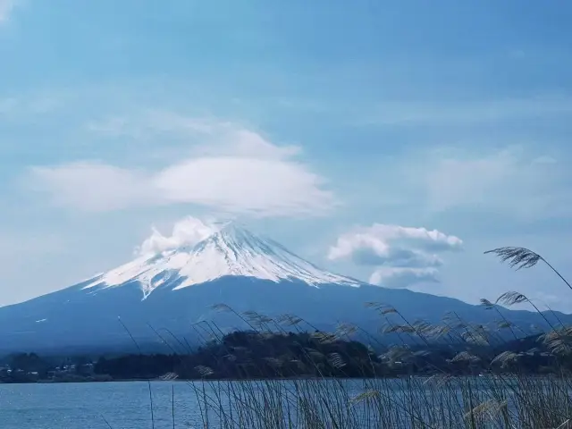 4月日本出遊計劃推薦！