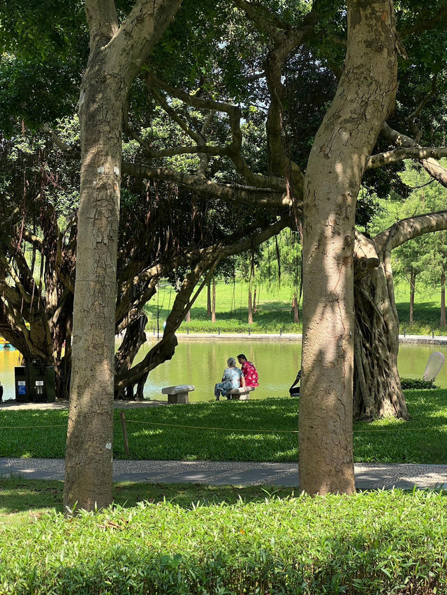 珠海海濱公園：野餐的夢幻之境
