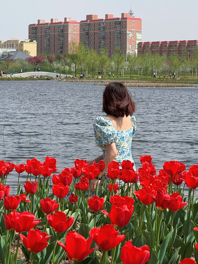 伊犁的夏天永遠值得期待