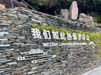 惠州羅浮山⛰️超絕遊玩
