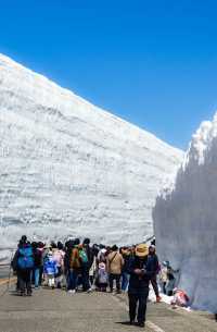 立山黑部雪牆：壯觀的自然奇景