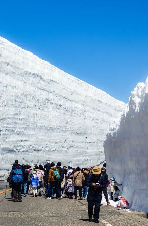 立山黑部雪牆：壯觀的自然奇景