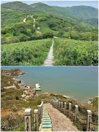 舟山受苦之旅已完，想去嘅姊妹要慎重