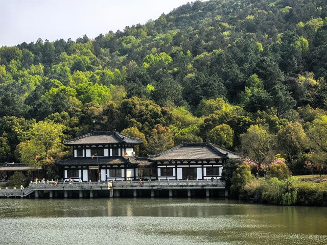 蘇州穹窿山一日的自然野趣和歷史人文