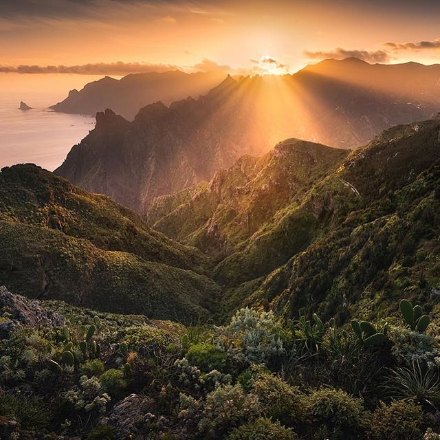 Canary Islands