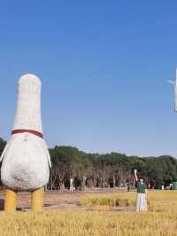 昆山之行—走進現代化新鄉村看新風貌＊計家墩理想村