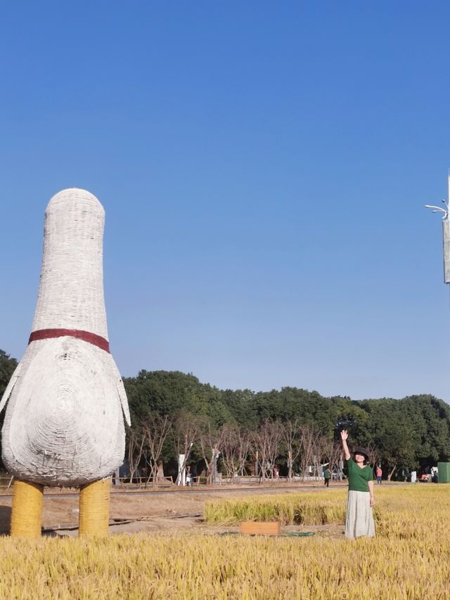 昆山之行—走進現代化新鄉村看新風貌＊計家墩理想村