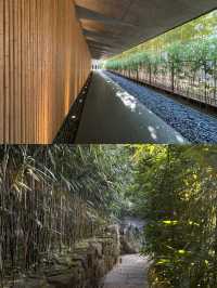 東京最美的美術館『根津美術館』