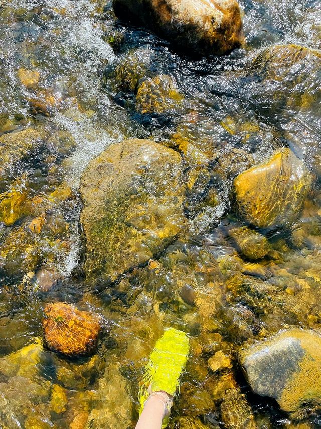 去山裏過夏|本溪免費溯溪露營 玩水攻略