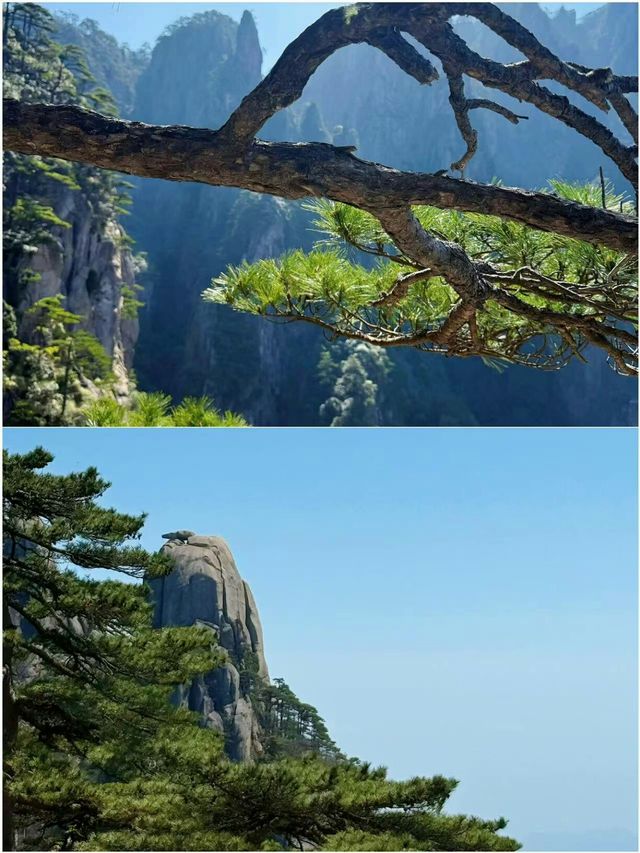 啱啱喺黃山返嚟！全部都係實話，睇完再去