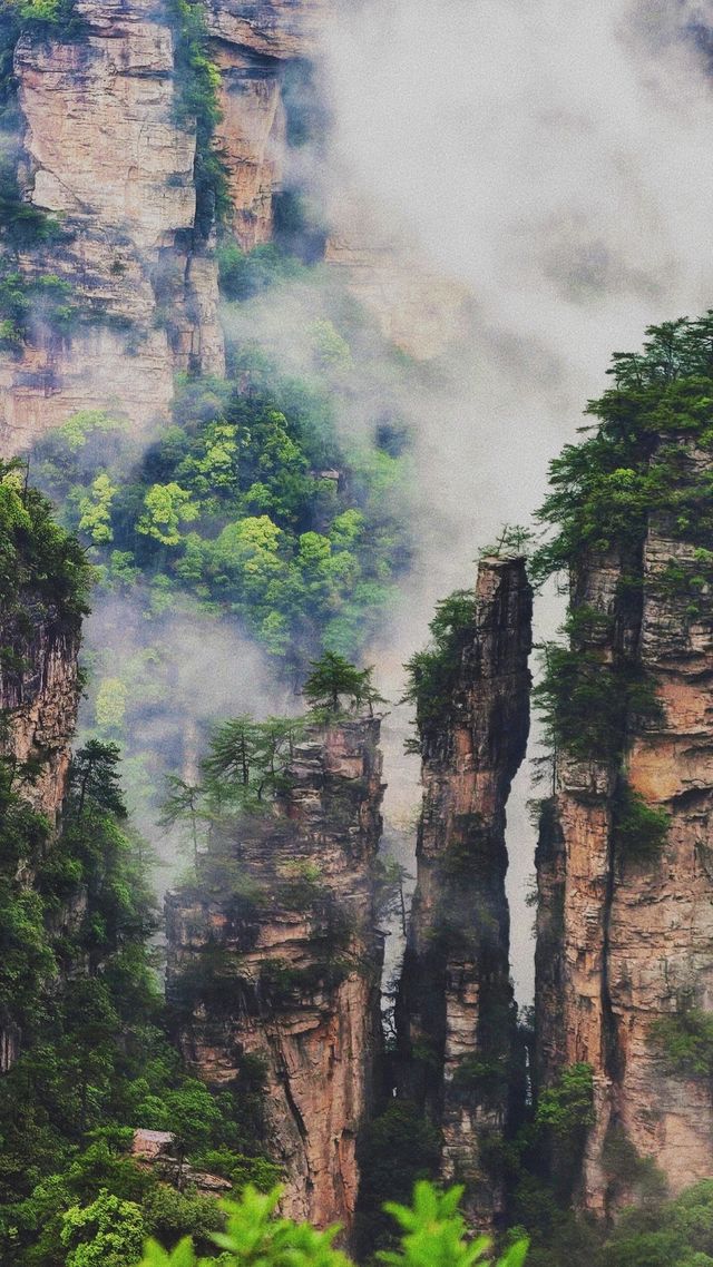 霧漫張家界：邂逅水墨仙境