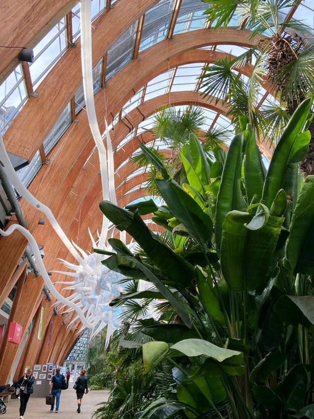 Sheffield Winter Gardens is so Dreamy❤️‍🔥🥰
