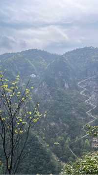 大明山記：雲海與奇峰的千年私語