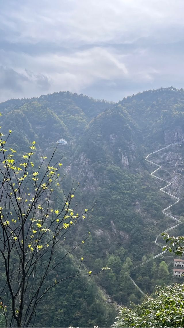 大明山記：雲海與奇峰的千年私語