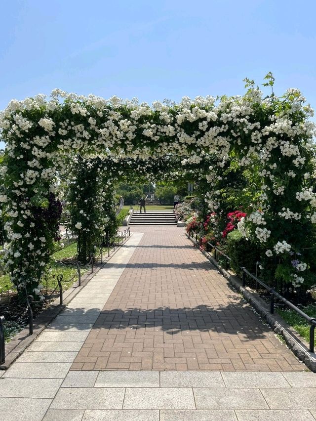 東京山下海濱公園交通攻略：探索海濱美景的便捷指南